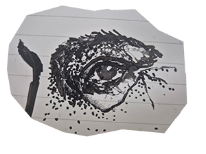 Oog